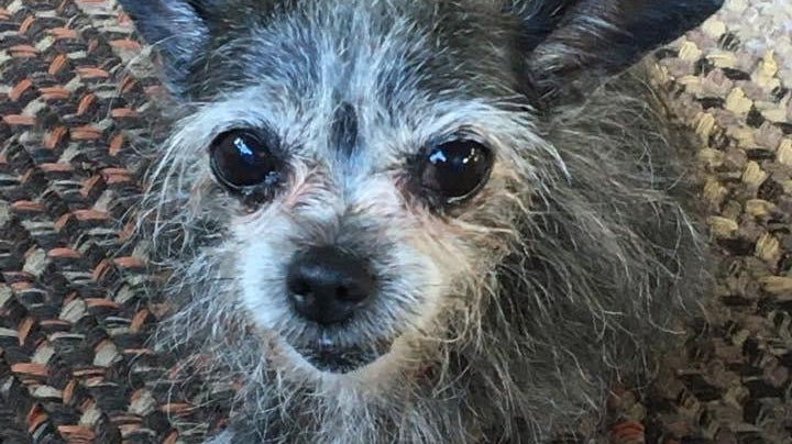 It’s been a rough year hasn’t it.....