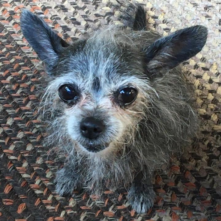 It’s been a rough year hasn’t it.....