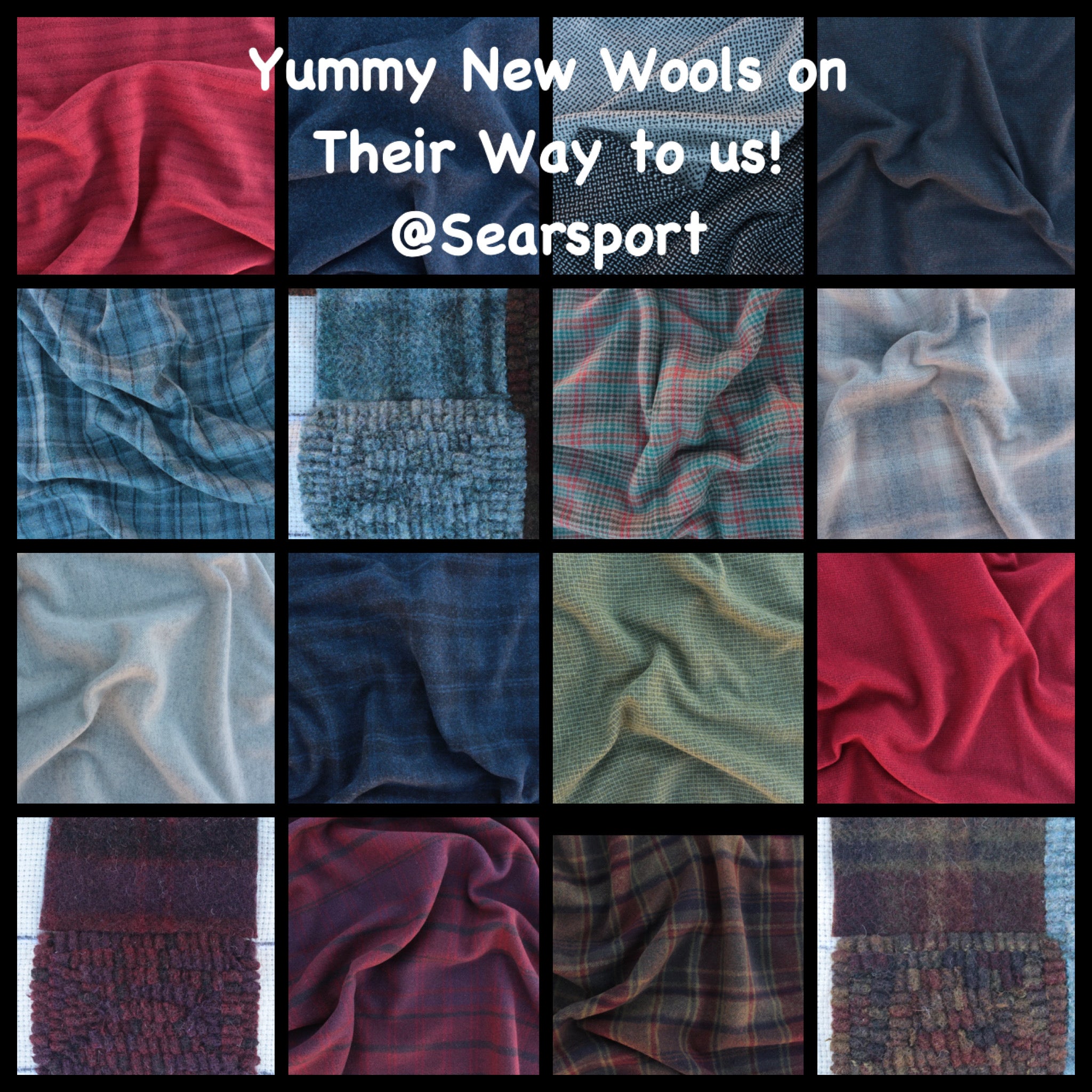 New Wool 4/6/23