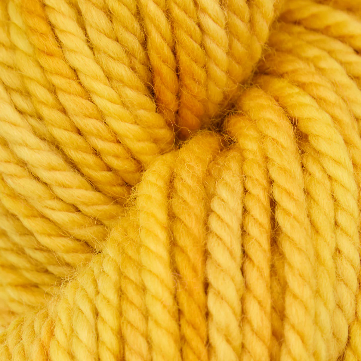 Golden Ticket Rug Yarn – Searsport Rug Hooking