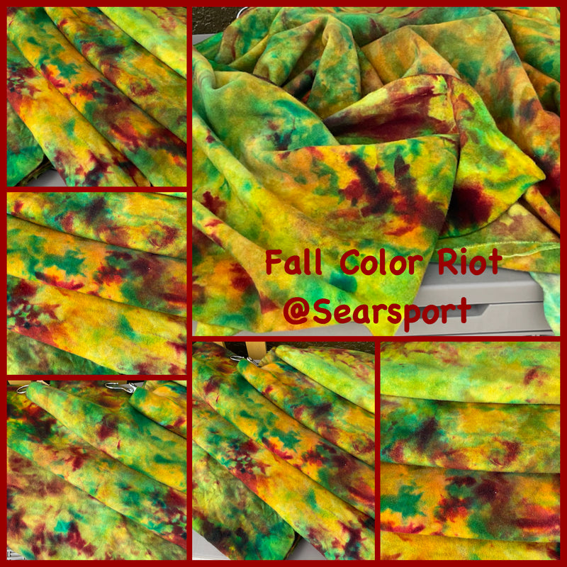 Fall Color Riot