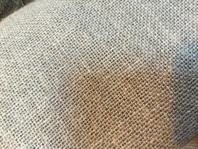 2 yards 64 inch Natural linen