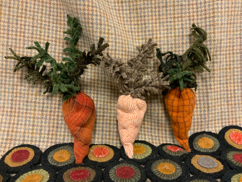 Spring Time Carrot Kit