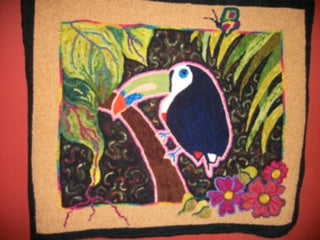 Marty’s  toucan