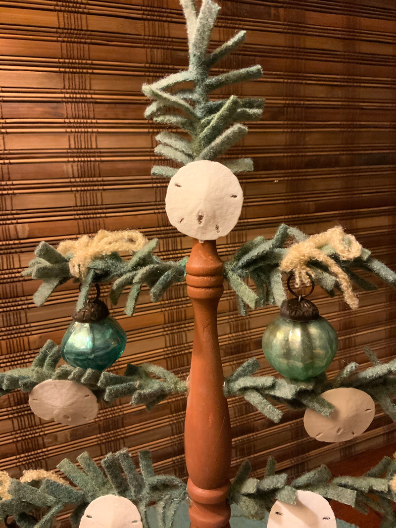 Sea Shells Wooly Spindle Tree